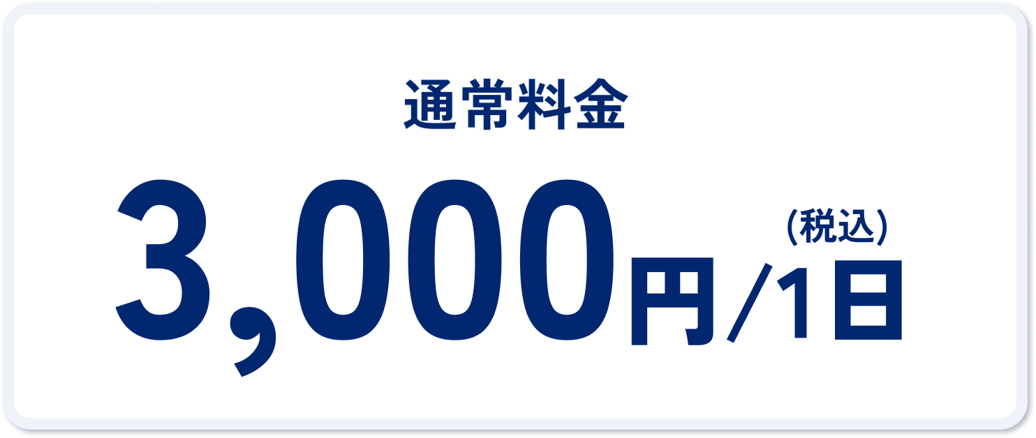 通常料金 3,000円税込 1日